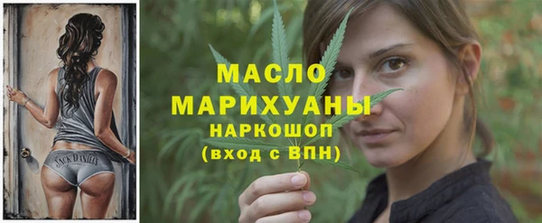 гидра Богородицк