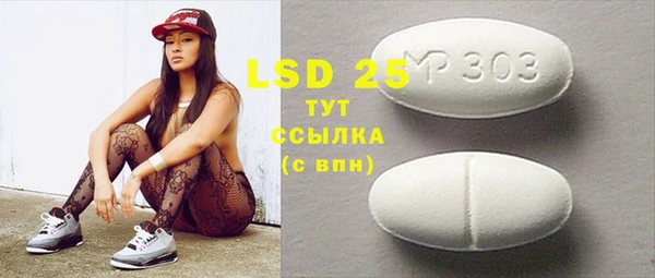 гидра Богородицк