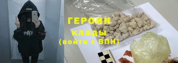 гидра Богородицк