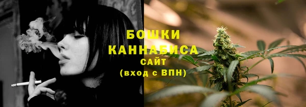 гидропоника Богданович