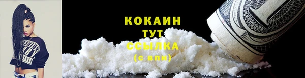гидра Богородицк