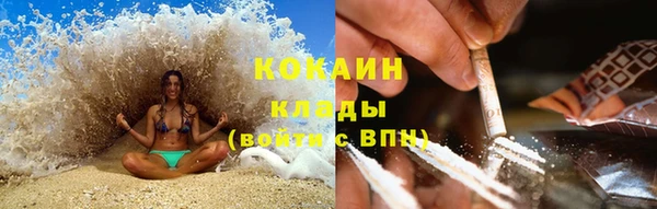 гидра Богородицк