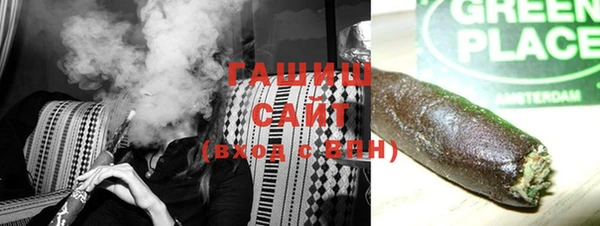 гидра Богородицк