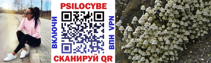 Галлюциногенные грибы Psilocybine cubensis  Киселёвск 