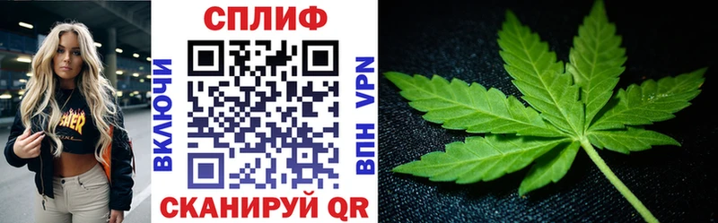 Канабис THC 21% мориарти наркотические препараты Киселёвск кракен зеркало